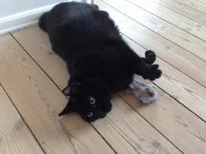 Hugo     